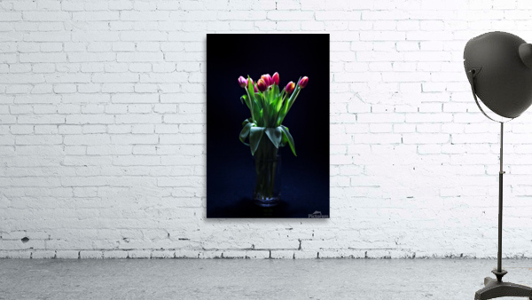 Etude Zen  9 e Wall Preview
