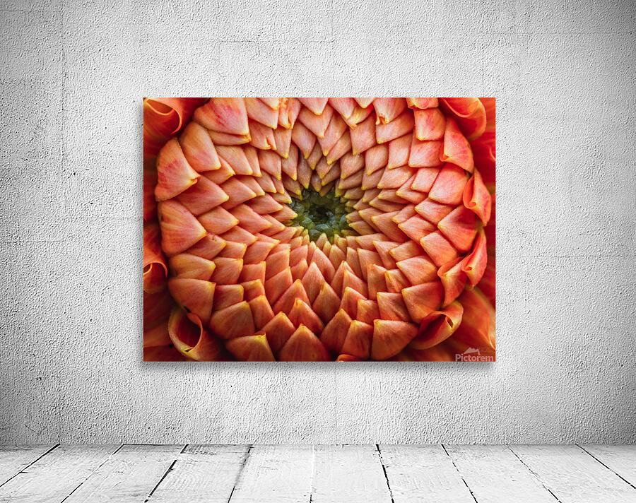 Orange Mood 1 Wall Preview