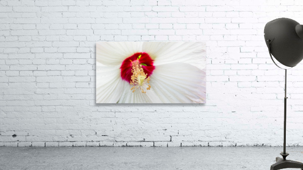 White Mood 1 Wall Preview