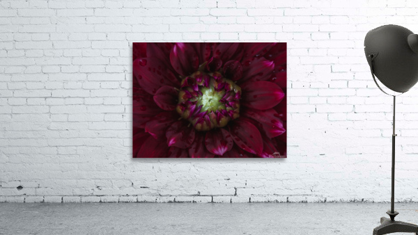 Red Mood 2 Wall Preview