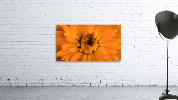 Yellow mood 1 Wall Preview