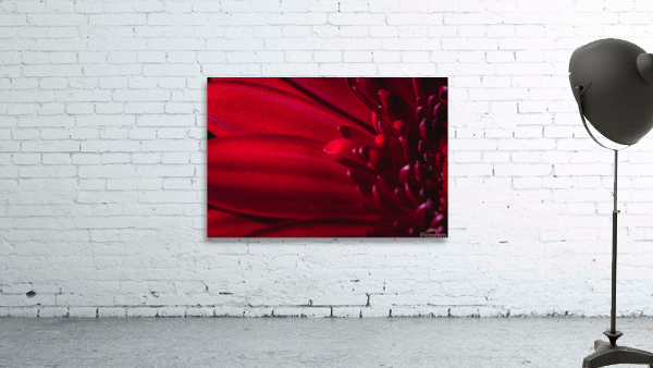 Red mood 5 Wall Preview