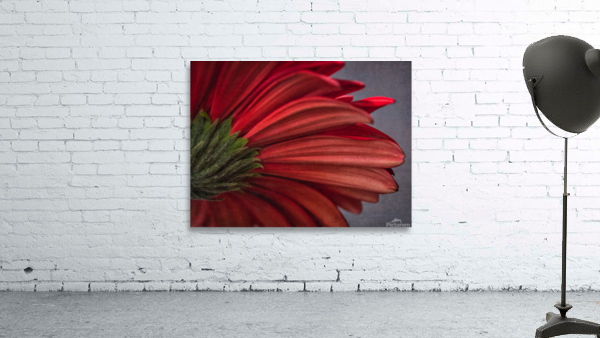 Red mood 10 Wall Preview