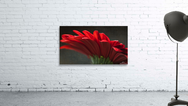 Red mood 11 Wall Preview