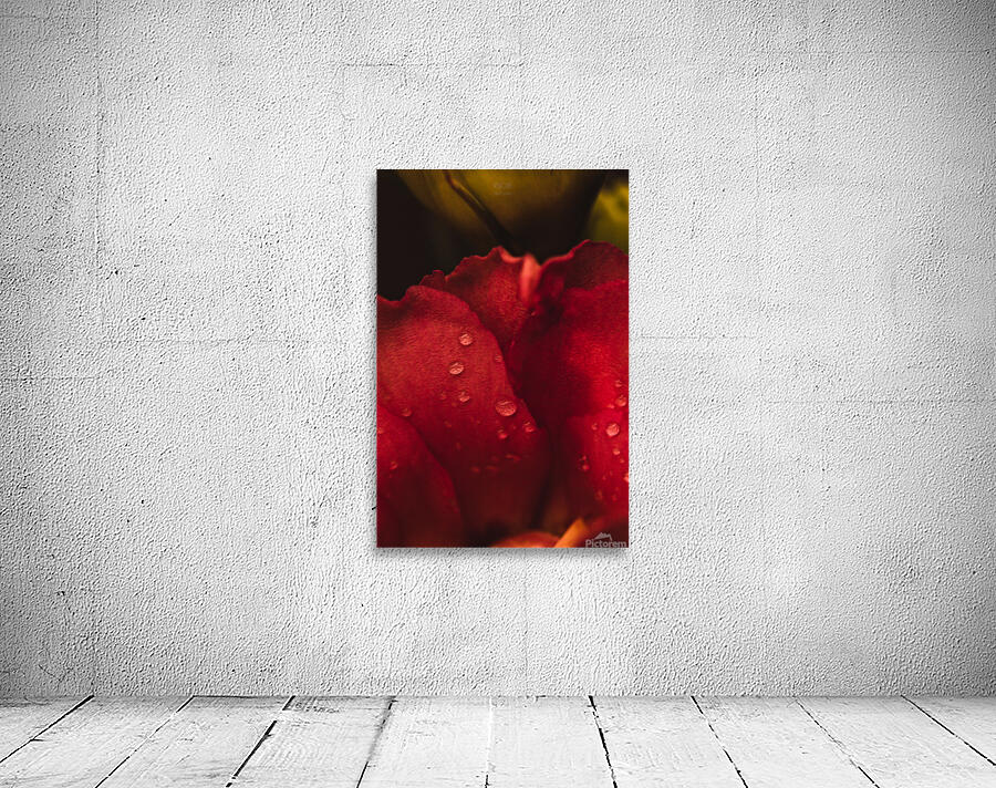 Red Mood XIII Wall Preview