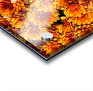 Flowering Luminescence Acrylic print