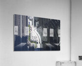 Birds Eye Acrylic Print