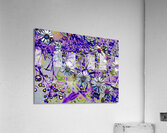 Daisy Strand CRC Acrylic Print
