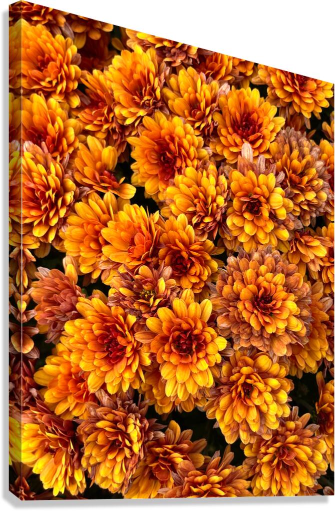 Flowering Luminescence Canvas Print
