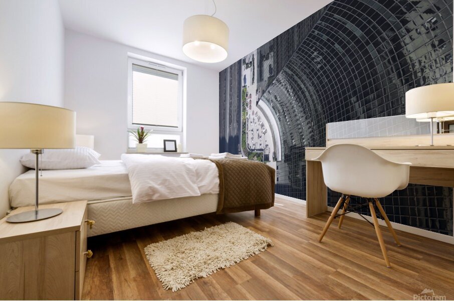 Birds Eye Mural print