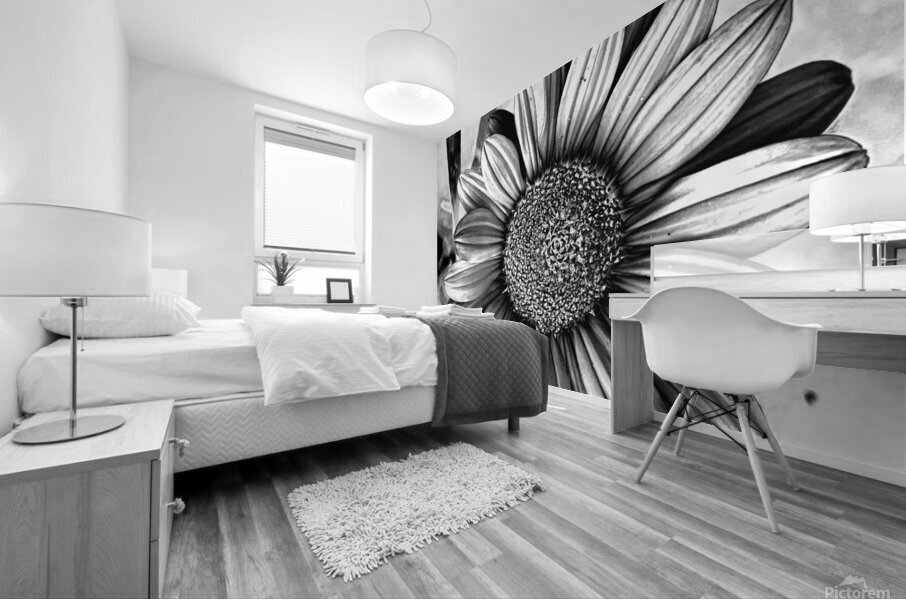 Thin-leaf sunflower BWC Mural print
