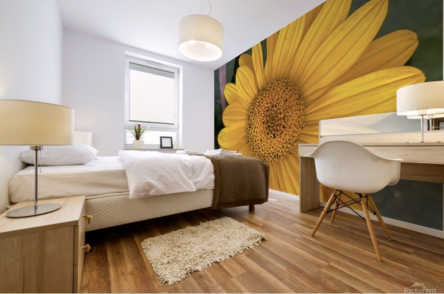 Thin Leaf Sunflower CRC Mural print