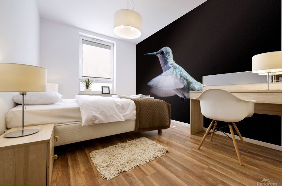 Hummingbird Mural print
