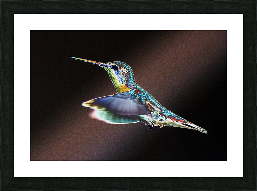  Fine Art print