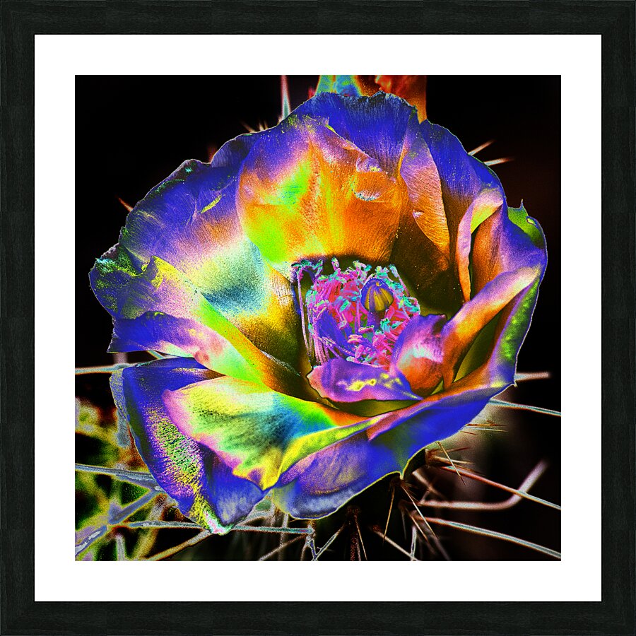  Fine Art print