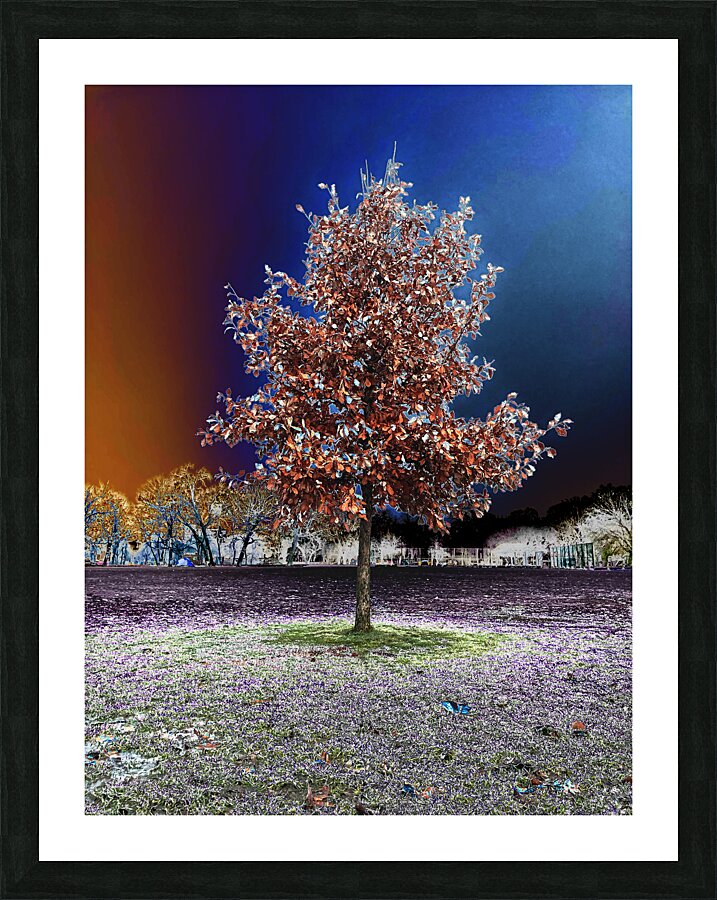  Fine Art print