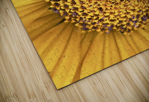 Seeding Stuchly Photography puzzle
