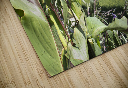 Fall Harvest Stuchly Photography puzzle