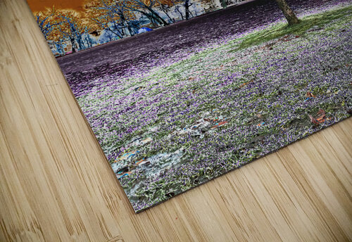 Winter Transition Stuchly Photography puzzle