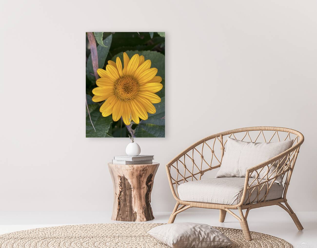 Thin Leaf Sunflower CRC Reproduction