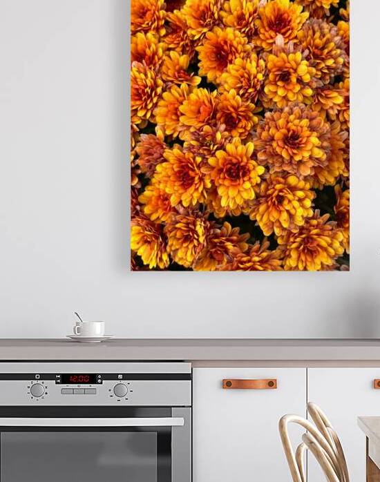 Flowering Luminescence by Stuchly Photography