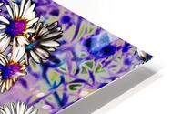 Daisy Strand CRC HD Metal print