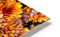 Flowering Luminescence HD Metal print