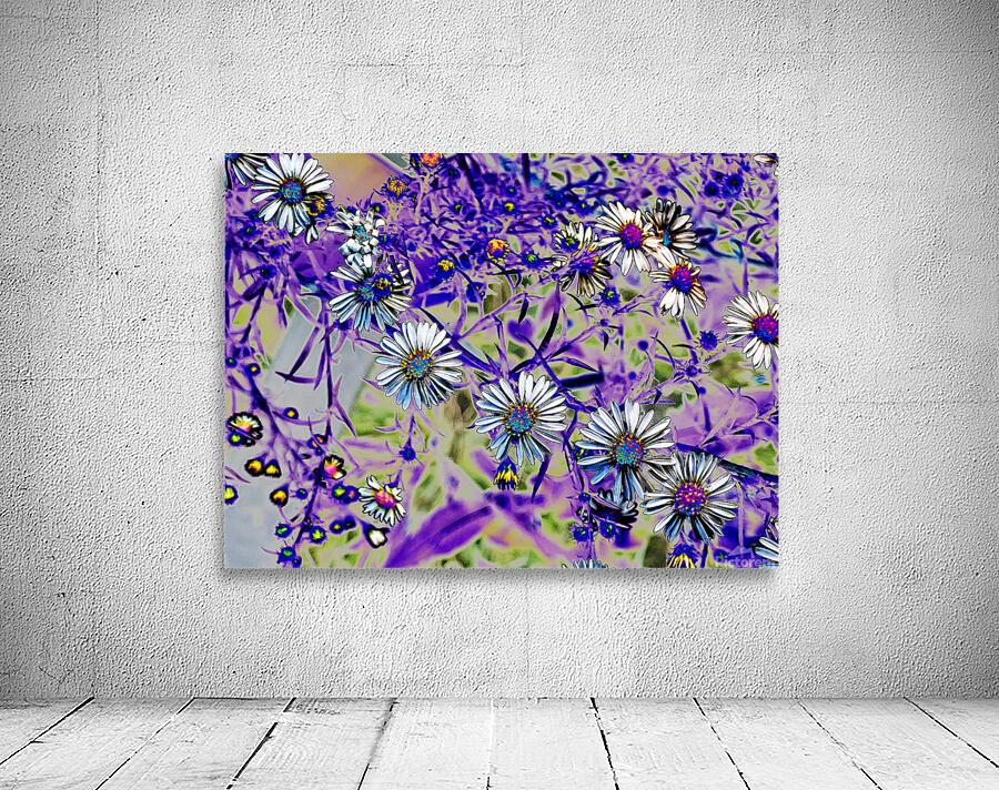 Daisy Strand CRC Wall Preview