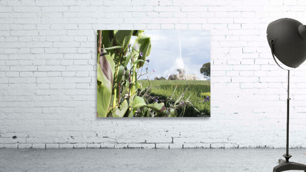 Fall Harvest Wall Preview