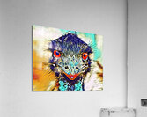 Emu Acrylic Print