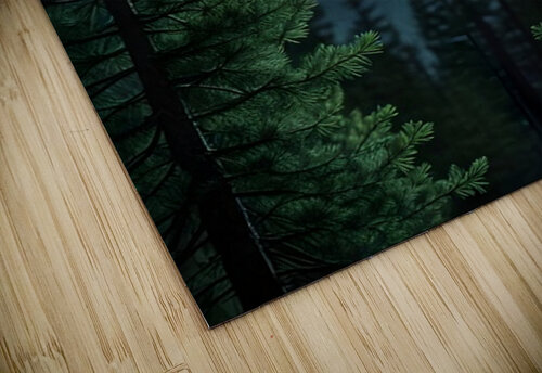 Moonlit Forest Glow Pixels and Petals puzzle