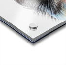 Verreauxs eagle-owl Acrylic print