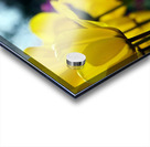 Being Different Is Special Acrylic print