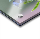 Red-legged Honeycreeper Acrylic print