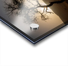 A Lone Tree in the Desert Impression Acrylique