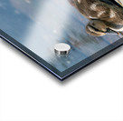 Mallard Ducklings Impression Acrylique