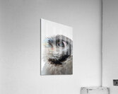 Verreauxs eagle-owl Acrylic Print