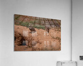 Burrowing Owls Acrylic Print