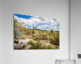 Rhinos at the Hluhluwe–Imfolozi Park Acrylic Print