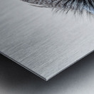 Verreauxs eagle-owl Metal print