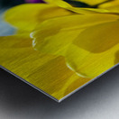 Being Different Is Special Metal print