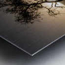 A Lone Tree in the Desert Impression metal