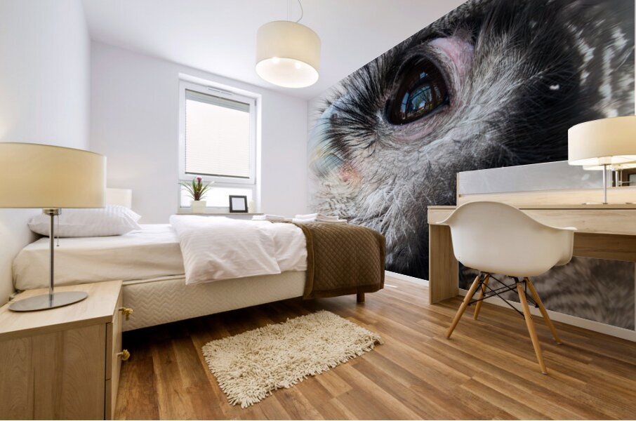 Verreauxs eagle-owl Mural print
