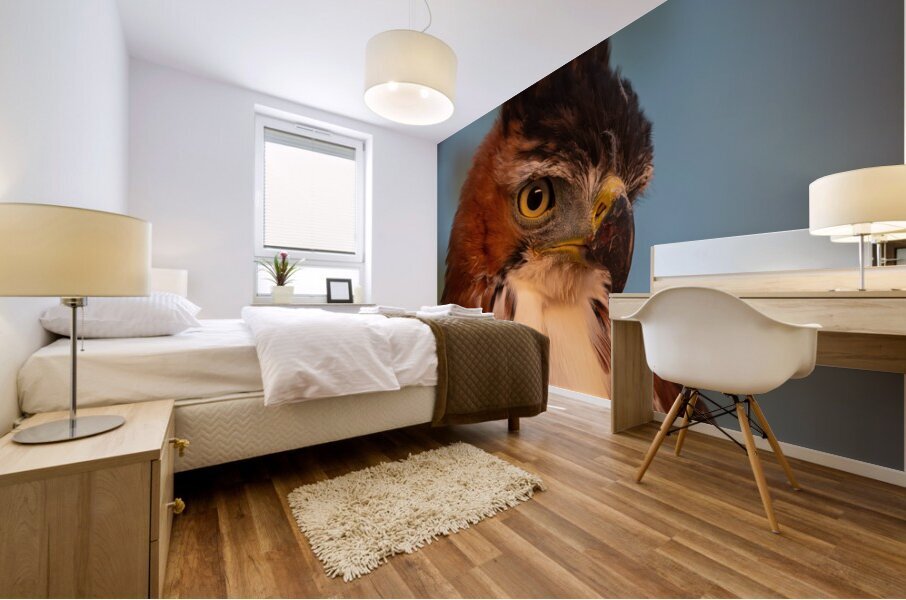 Ornate hawk-eagle Mural print