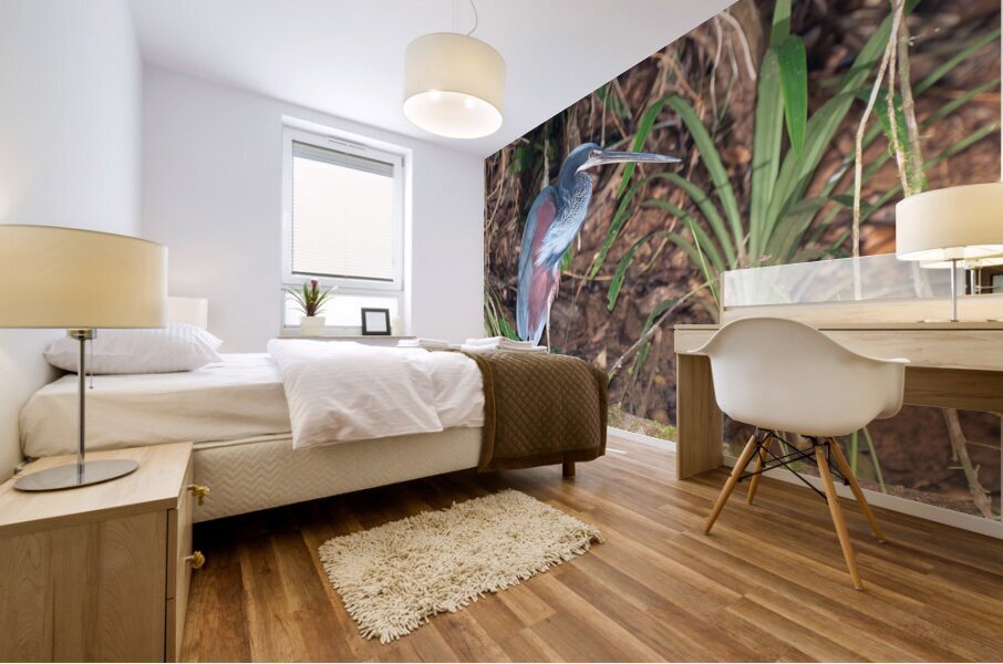Agami Heron Mural print