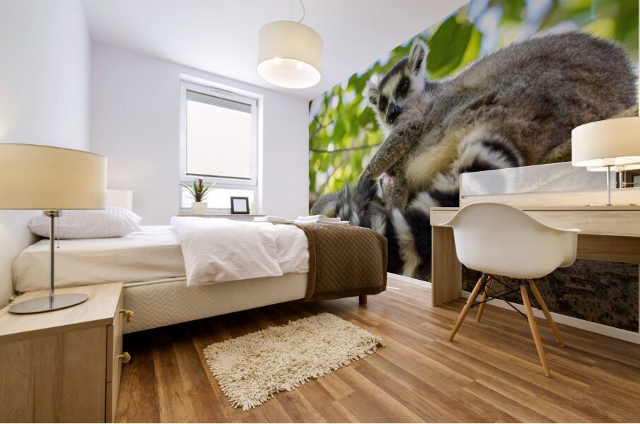 Ring-tailed Lemur Mural print