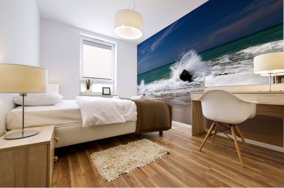 Water Dancing with a Boulder Mural print