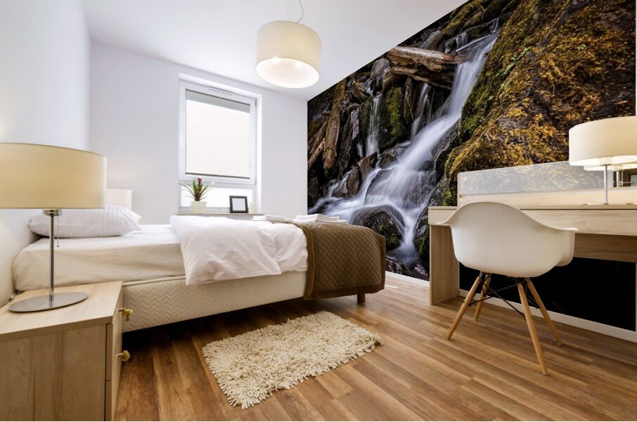 Proxy Creek Oregon Mural print