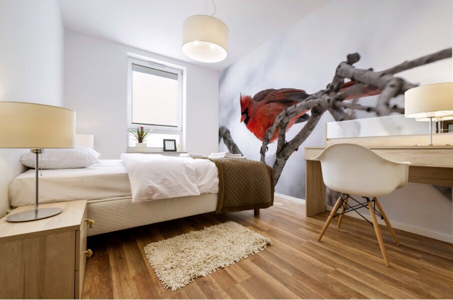 Northern Cardinal Mural print