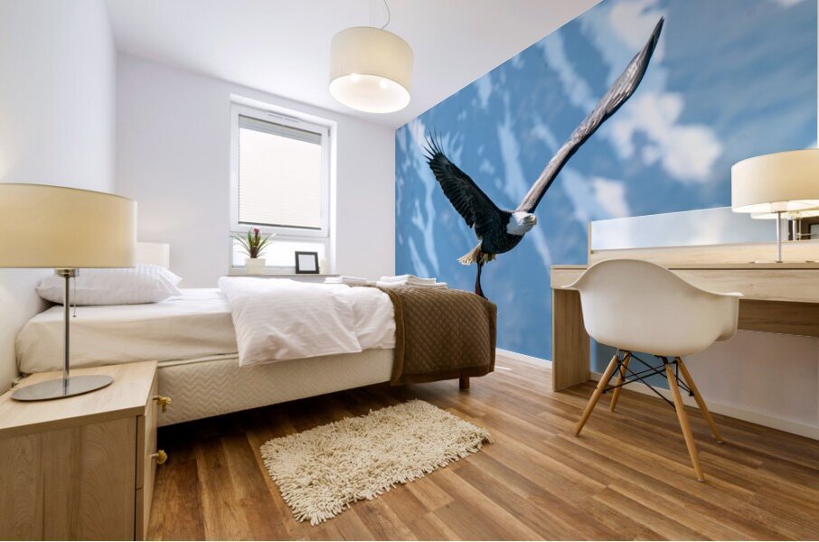 Fishing Bald Eagle Mural print